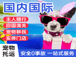 蓬莱机场快递国际宠物托运 【国